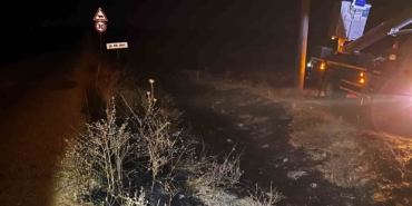 Eskişehir'de elektrik tellerine çarpan kuş yangın çıkardı