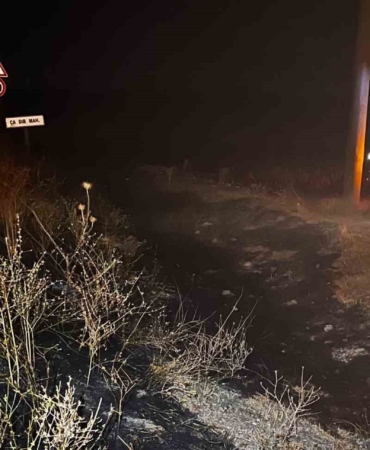 Eskişehir'de elektrik tellerine çarpan kuş yangın çıkardı