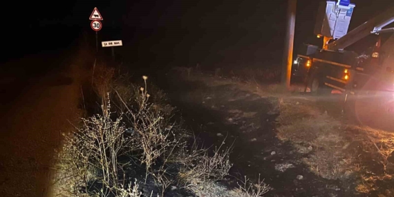 Eskişehir'de elektrik tellerine çarpan kuş yangın çıkardı