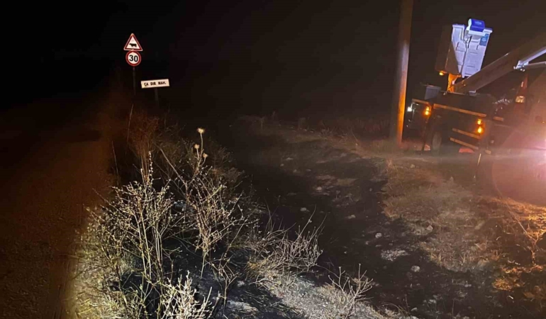 Eskişehir'de elektrik tellerine çarpan kuş yangın çıkardı