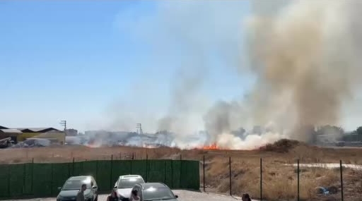 Eskişehir'de otluk alanda yangın çıktı, itfaiye müdahale etti
