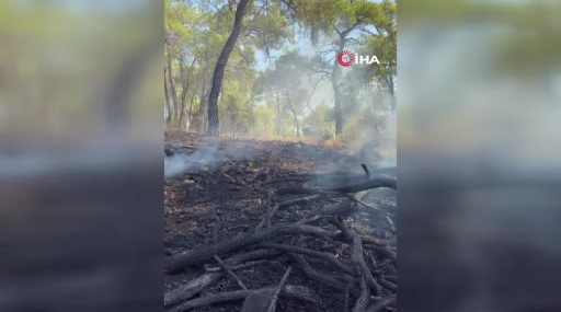 Fethiye'de jeneratörden çıkan yangın ormana sıçradı