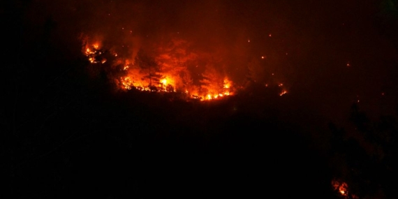 Fethiye'deki yangın kontrol altına alındı, 202 yangın söndürüldü