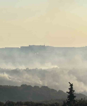 Gebze'de orman yangınına havadan müdahale sürüyor