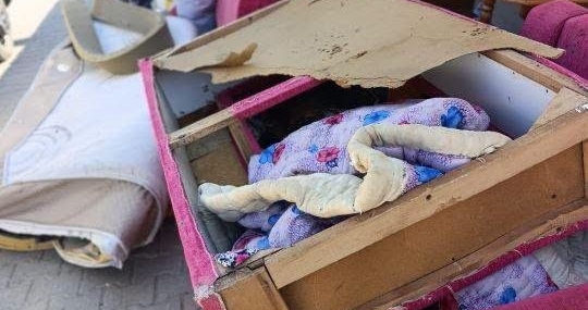 Germencik'te Başkan Zencirci'den Temiz Çevre Çağrısı