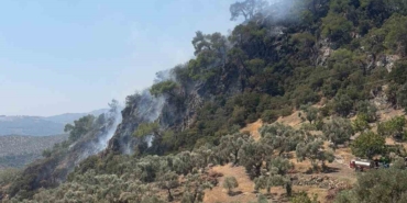 Germencik'teki orman yangını kontrol altına alındı