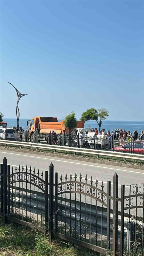 Giresun'da kamyonet kazasında 4 kişi yaralandı
