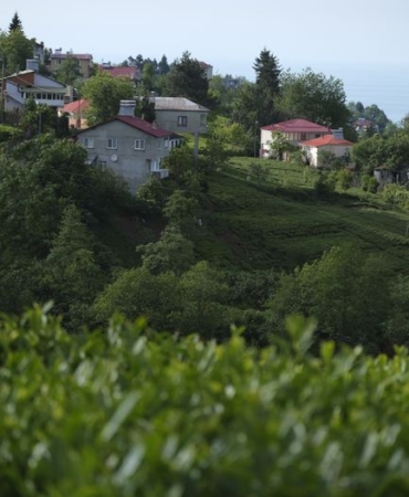 Giresun'da selde kaybolan Muhammed Abdullah Hakkıoğlu'nun cesedi bulundu
