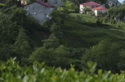 Giresun'da selde kaybolan Muhammed Abdullah Hakkıoğlu'nun cesedi bulundu