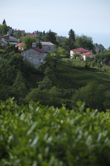 Giresun'da selde kaybolan Muhammed Abdullah Hakkıoğlu'nun cesedi bulundu