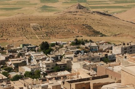 Girit'te Akbabalar Sıcak Hava Nedeniyle Yerleşim Alanlarına İndi