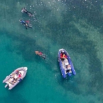 Gümbet'te 310 kilogram atık deniz dibinden çıkarıldı