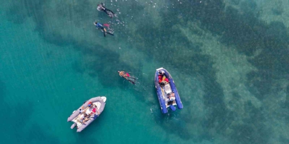 Gümbet'te 310 kilogram atık deniz dibinden çıkarıldı