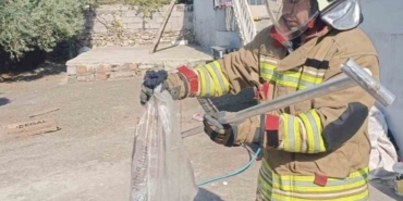 Hatay'da yakalanan yılanlar doğaya salındı