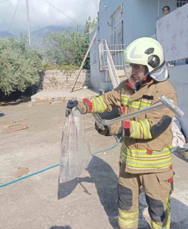 Hatay'da yakalanan yılanlar doğaya salındı
