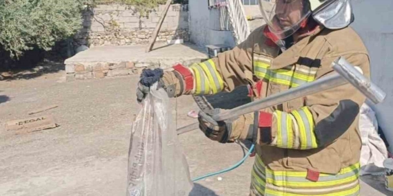 Hatay'da yakalanan yılanlar doğaya salındı