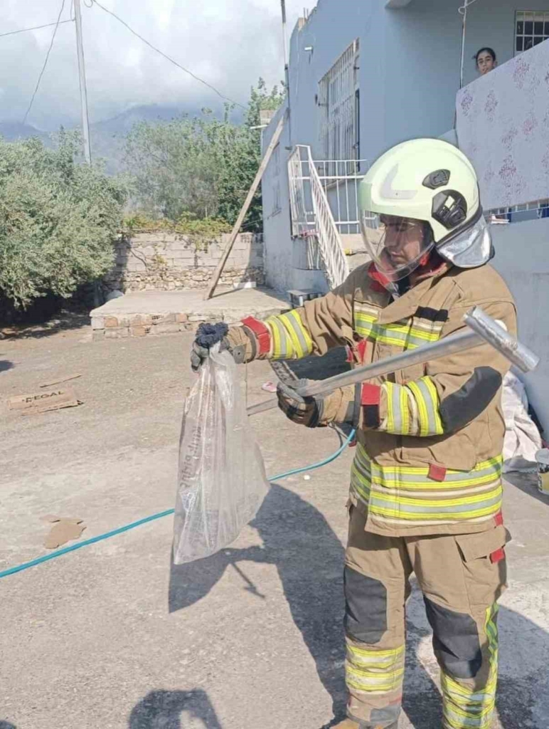 Hatay'da yakalanan yılanlar doğaya salındı