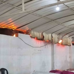 Hatay'daki düğünde havai fişek yangınına rağmen halay devam etti