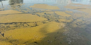 Iğdır Millet Bahçesi'ndeki süs havuzundaki kirlilik tepkilere yol açtı