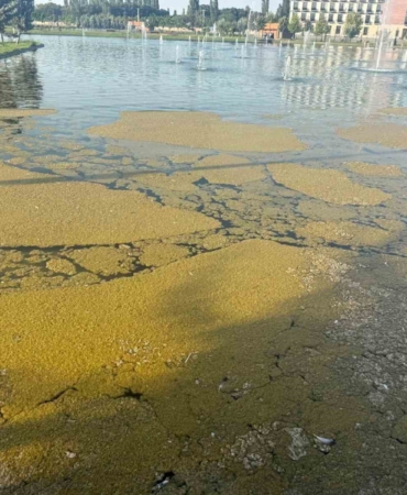 Iğdır Millet Bahçesi'ndeki süs havuzundaki kirlilik tepkilere yol açtı
