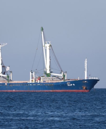 İzmir ve Muğla'da 9 göçmen kaçakçısı yakalandı