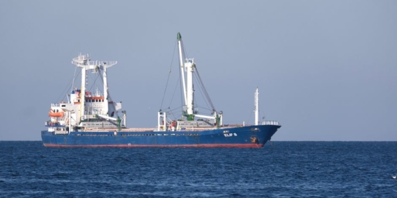 İzmir ve Muğla'da 9 göçmen kaçakçısı yakalandı