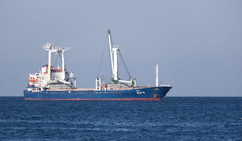 İzmir ve Muğla'da 9 göçmen kaçakçısı yakalandı