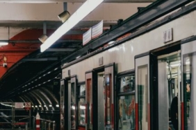 İzmir'de metro istasyonlarında biyolojik vektör mücadelesi