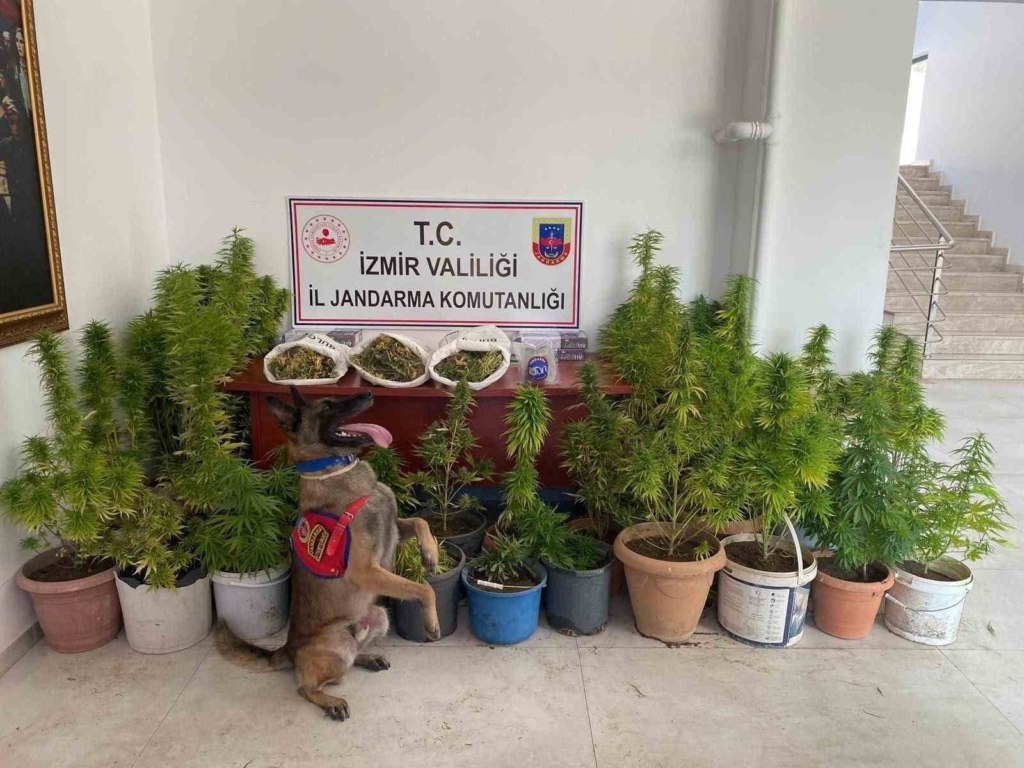 İzmir'de uyuşturucu operasyonu: 3 kişi tutuklandı