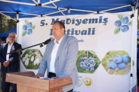 İznik’te 5. Maviyemiş Festivali büyük ilgi gördü