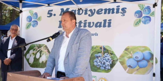 İznik’te 5. Maviyemiş Festivali büyük ilgi gördü