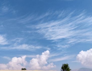 Kahramanmaraş'ta arazi kavgasında bir kişi hayatını kaybetti