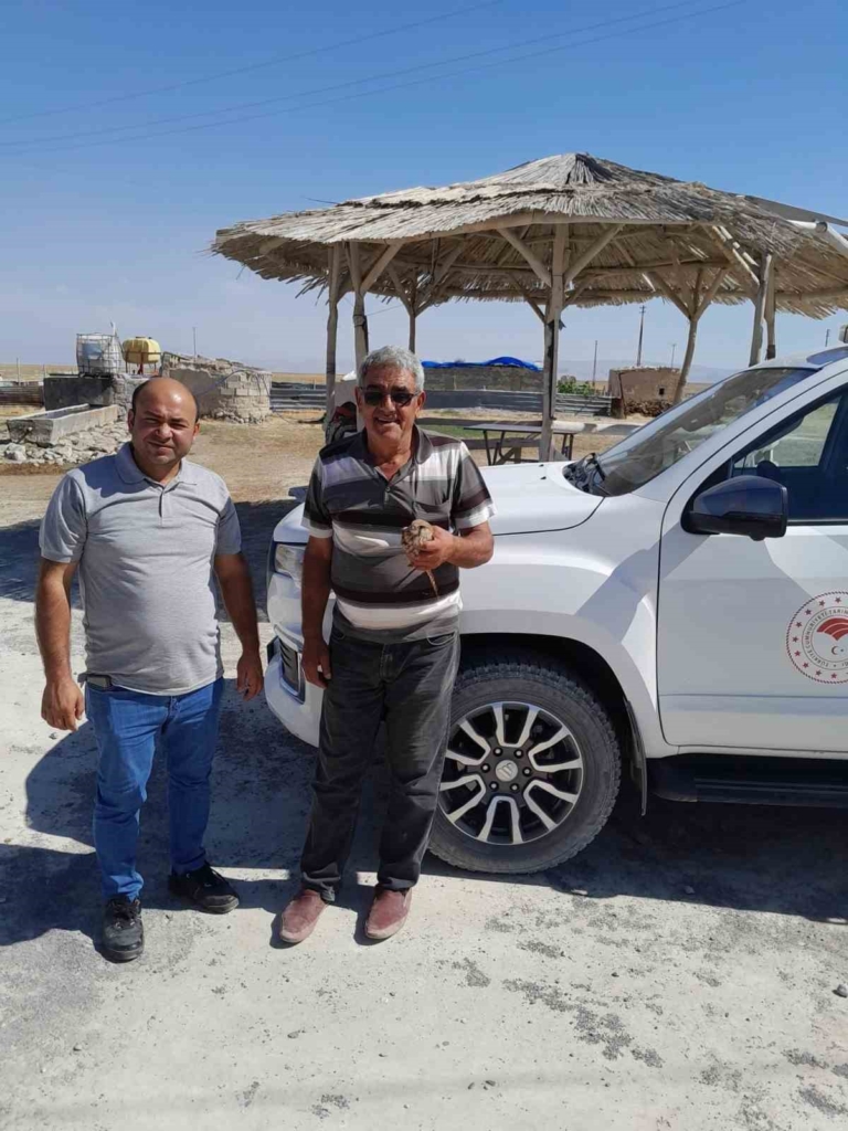 Kanadından yaralanan kızıl şahin, çiftçinin dikkatiyle kurtarıldı