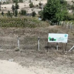 Karabük'te Aronya Üretimi Kendi Markasıyla Tüketiciye Ulaşacak