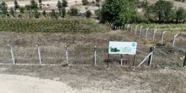 Karabük'te Aronya Üretimi Kendi Markasıyla Tüketiciye Ulaşacak