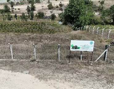 Karabük'te Aronya Üretimi Kendi Markasıyla Tüketiciye Ulaşacak