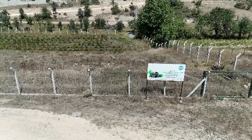 Karabük'te Aronya Üretimi Kendi Markasıyla Tüketiciye Ulaşacak