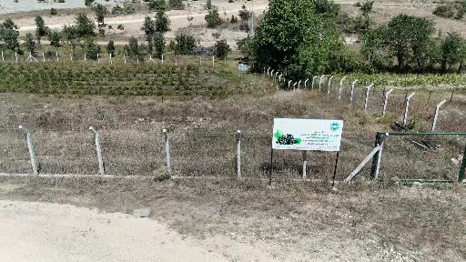 Karabük'te Aronya Üretimi Kendi Markasıyla Tüketiciye Ulaşacak