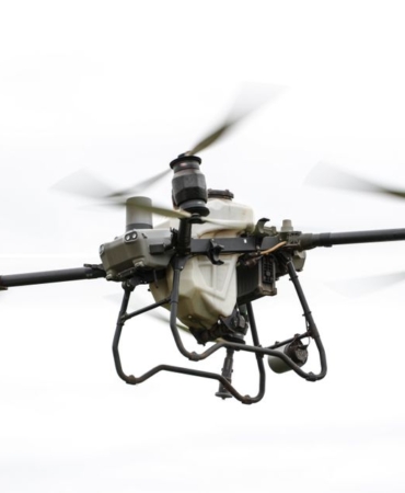 Karadeniz'de Dron Saldırıları: Tahıl Koridoru Benzeri Anlaşma Önerisi