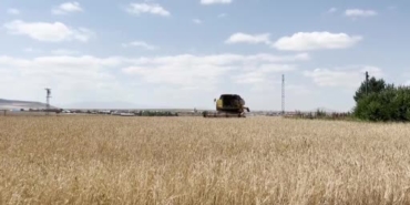 Kars'ta arpa ve yulaf hasadı başladı