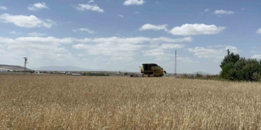 Kars'ta arpa ve yulaf hasadı hızla devam ediyor