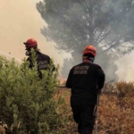 Kartal Belediyesi, Balıkesir'deki Orman Yangınına Destek Gönderdi