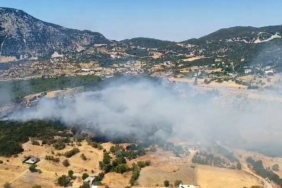 Kaş'taki orman yangını 2,5 saatte kontrol altına alındı