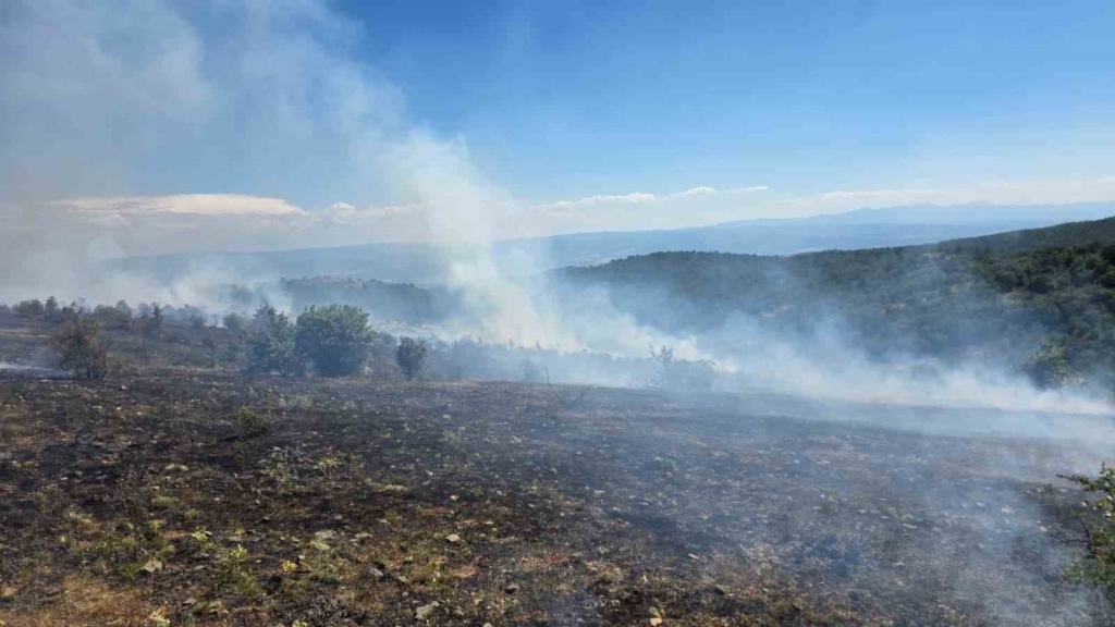 Kastamonu'da orman yangını kontrol altına alındı