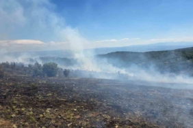 Kastamonu'da orman yangını kontrol altına alındı