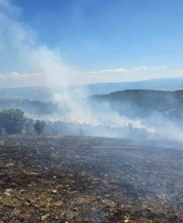 Kastamonu'da orman yangını kontrol altına alındı