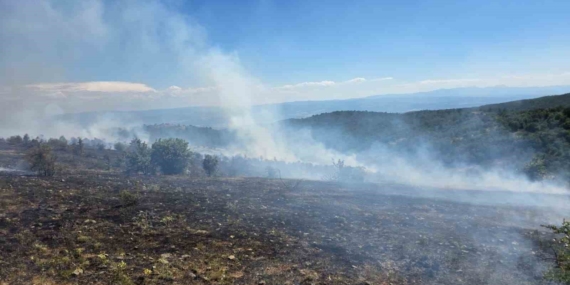 Kastamonu'da orman yangını kontrol altına alındı