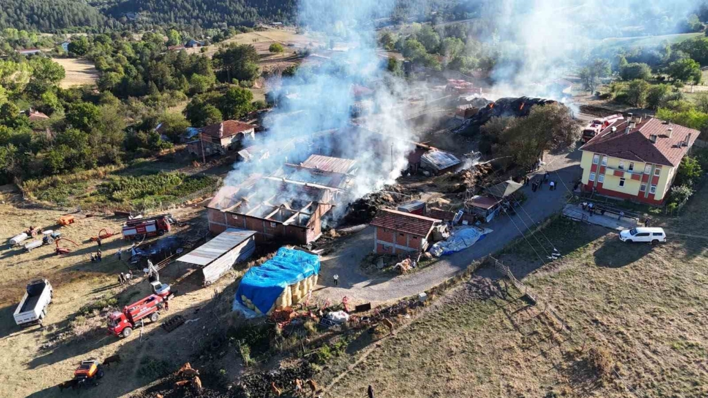 Kastamonu'da yangında 14 büyükbaş hayvan telef oldu