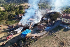 Kastamonu'da yangında 14 büyükbaş hayvan telef oldu