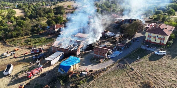 Kastamonu'da yangında 14 büyükbaş hayvan telef oldu